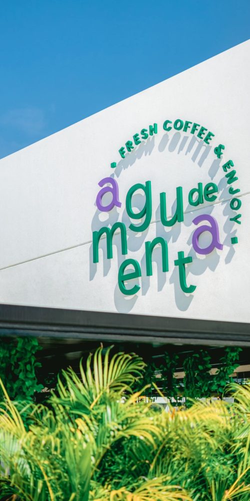 aguadementa